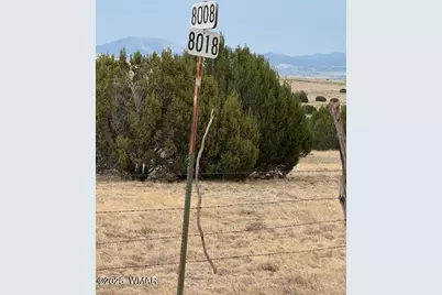 82 County Road 8010, Concho, AZ 85924 - Photo 14