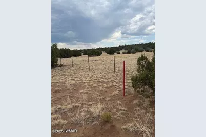 82 County Road 8010, Concho, AZ 85924 - Photo 4