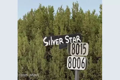 82 County Road 8010, Concho, AZ 85924 - Photo 8