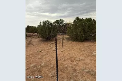 35 County Road 3044, Concho, AZ 85924 - Photo 2