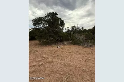 35 County Road 3044, Concho, AZ 85924 - Photo 10