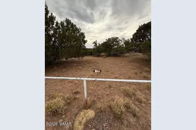 35 County Road 3044, Concho, AZ 85924 - Photo 12