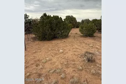35 County Road 3044, Concho, AZ 85924 - Photo 6