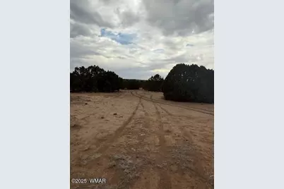 35 County Road 3044, Concho, AZ 85924 - Photo 14