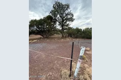 35 County Road 3044, Concho, AZ 85924 - Photo 1