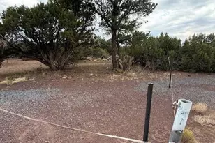 35 County Road 3044, Concho, AZ 85924 - Photo 1