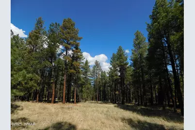 Unk 1.17 Ac Unk, Greer, AZ 85927 - Photo 1