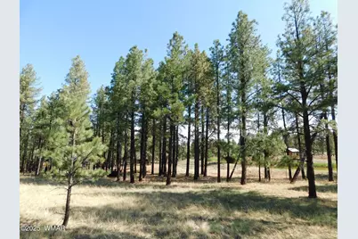 Unk 1.17 Ac Unk, Greer, AZ 85927 - Photo 2