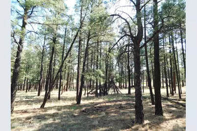 Unk 1.17 Ac Unk, Greer, AZ 85927 - Photo 6