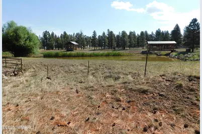 Unk 1.17 Ac Unk, Greer, AZ 85927 - Photo 4