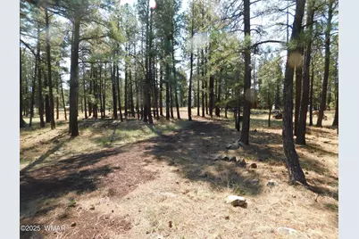 Unk 1.17 Ac Unk, Greer, AZ 85927 - Photo 12