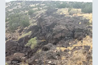 9223 Golden Horse Lane, Snowflake, AZ 85937 - Photo 2