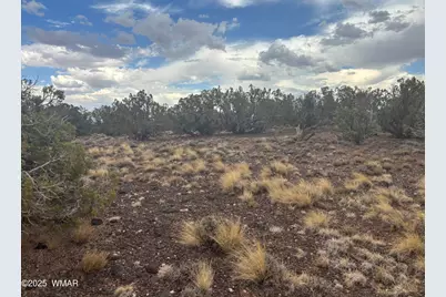 9223 Golden Horse Lane, Snowflake, AZ 85937 - Photo 28