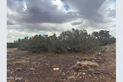 9223 Golden Horse Lane, Snowflake, AZ 85937 - Photo 30