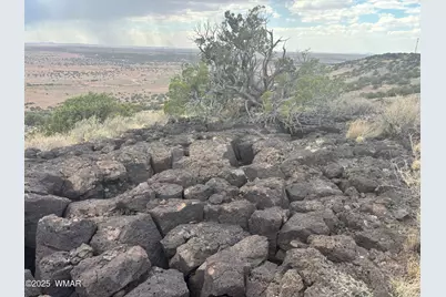 9223 Golden Horse Lane, Snowflake, AZ 85937 - Photo 20
