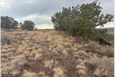 9223 Golden Horse Lane, Snowflake, AZ 85937 - Photo 26