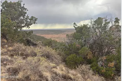 9223 Golden Horse Lane, Snowflake, AZ 85937 - Photo 24