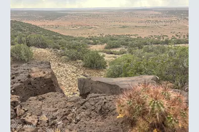 9223 Golden Horse Lane, Snowflake, AZ 85937 - Photo 18