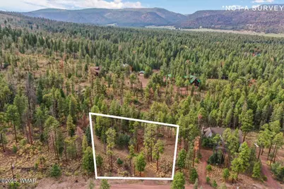 14 County Rd 2074, Alpine, AZ 85920 - Photo 4