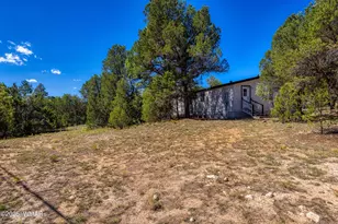 3149 Tonto Dr, Overgaard, AZ 85933 - Photo 28