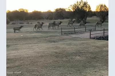 1855 Par Circle, Unit 201 #201, Show Low, AZ 85901 - Photo 20
