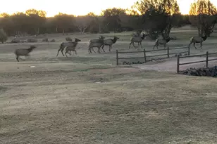 1855 Par Circle Unit 201, Show Low, AZ 85901 - Photo 20