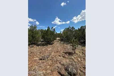 1776 Schad Place, Show Low, AZ 85901 - Photo 2