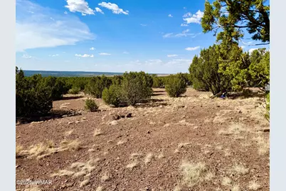 Tbd Co Rd N3109 9.11 Acres, Vernon, AZ 85940 - Photo 32