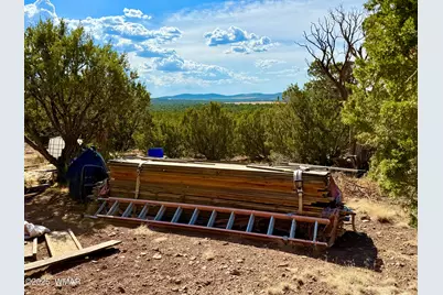 Tbd Co Rd N3109 9.11 Acres, Vernon, AZ 85940 - Photo 38