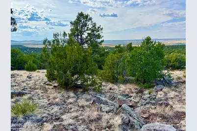 Tbd Co Rd N3109 9.11 Acres, Vernon, AZ 85940 - Photo 20