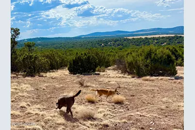 Tbd Co Rd N3109 9.11 Acres, Vernon, AZ 85940 - Photo 34