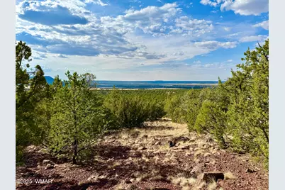 Tbd Co Rd N3109 9.11 Acres, Vernon, AZ 85940 - Photo 14