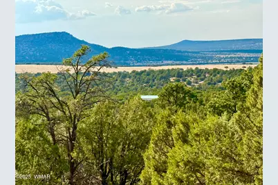 Tbd Co Rd N3109 9.11 Acres, Vernon, AZ 85940 - Photo 4