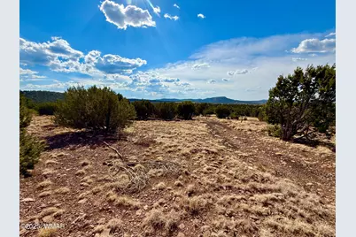 Tbd Co Rd N3109 9.11 Acres, Vernon, AZ 85940 - Photo 24