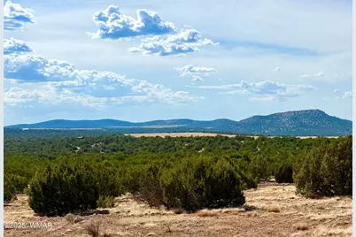 Tbd Co Rd N3109 9.11 Acres, Vernon, AZ 85940 - Photo 2