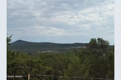 Tbd Cr 3076-C, Vernon, AZ 85940 - Photo 1