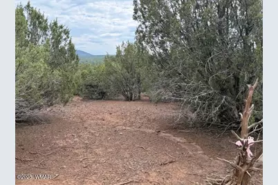 Tbd Cr 3076-C, Vernon, AZ 85940 - Photo 6