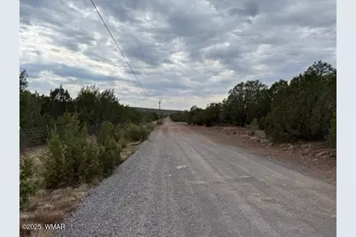 Tbd Cr 3076-C, Vernon, AZ 85940 - Photo 4