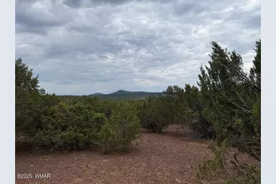 Tbd Cr 3076-D, Vernon, AZ 85940 - Photo 4