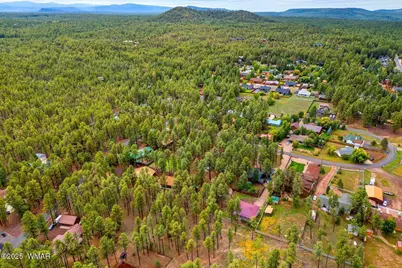 538 S Woodland Lane, Pinetop, AZ 85935 - Photo 32