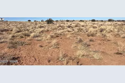 001F Privette Ln, Snowflake, AZ 85937 - Photo 16