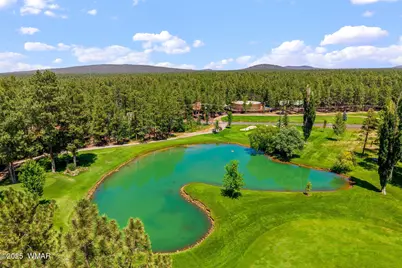 6503 Buck Springs Road, Pinetop, AZ 85935 - Photo 48