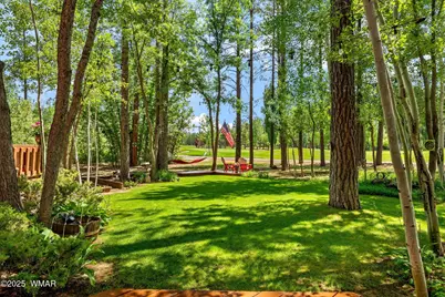 6503 Buck Springs Road, Pinetop, AZ 85935 - Photo 44