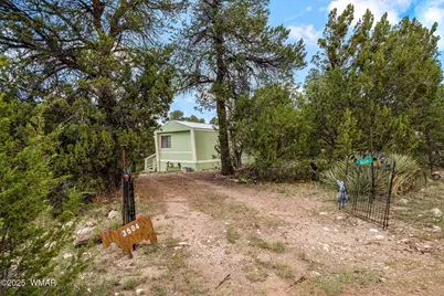 3504 Rae Circle, Overgaard, AZ 85933 - Photo 2