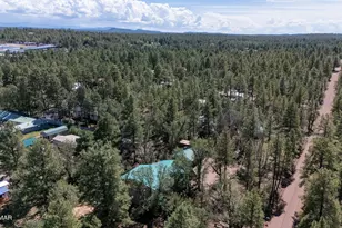 4343 Vallery Ln, Lakeside, AZ 85929 - Photo 34