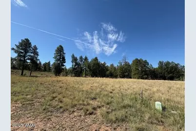 2221 W Edgewater, Show Low, AZ 85901 - Photo 2