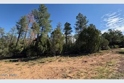 2100 W Whispering Springs, Show Low, AZ 85901 - Photo 2