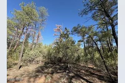 2100 W Whispering Springs, Show Low, AZ 85901 - Photo 4