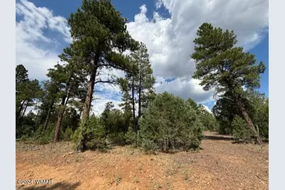 1541 S Braden Court, Show Low, AZ 85901 - Photo 2