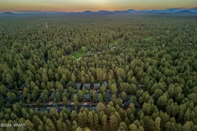 3052 Timberline Road, Pinetop, AZ 85935 - Photo 38